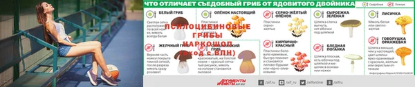 круглые Алзамай