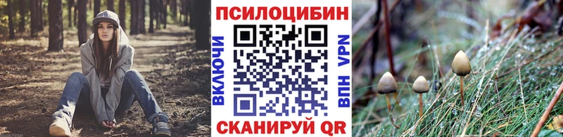 Псилоцибиновые грибы GOLDEN TEACHER  где продают наркотики  Каневская 